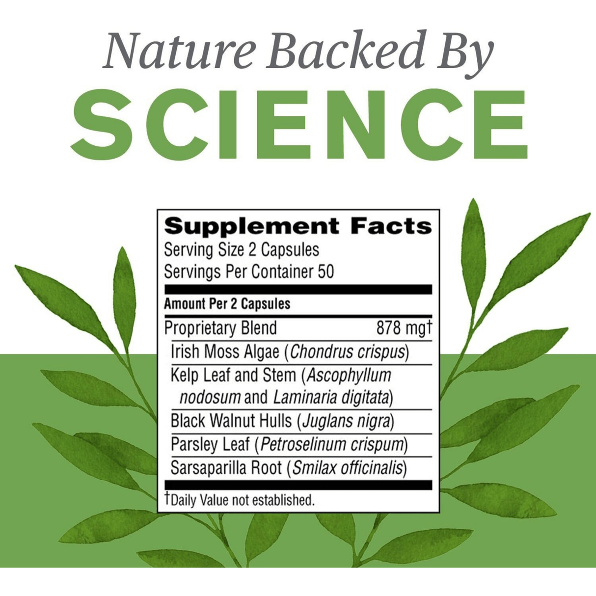 Nature's Sunshine Thyroid Activator - 100 Tabletas - Haz Tu Pedido