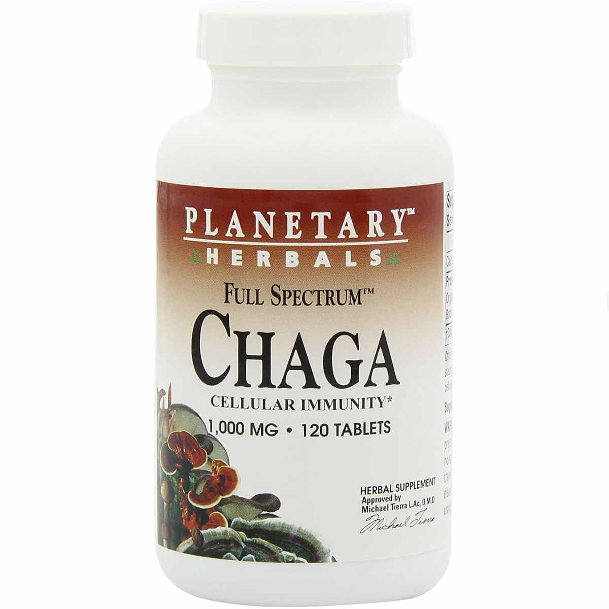 Chaga Con Calcio - 1000 mg - Haz Tu Pedido