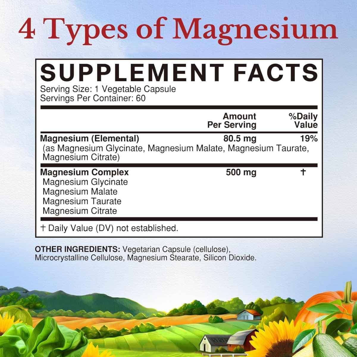 Vitalitown - Complejo de Magnesio (500 mg)