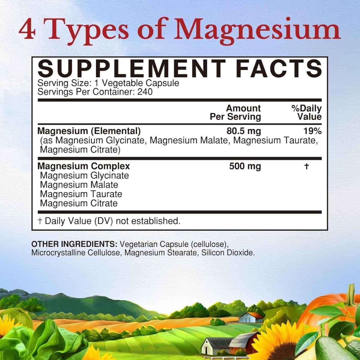 Vitalitown - Complejo de Magnesio (500 mg)