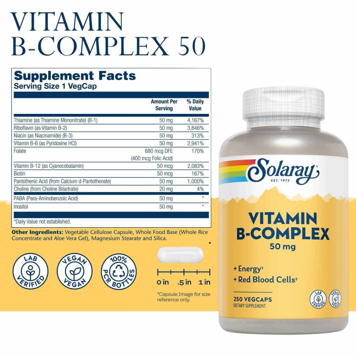 Complejo de Vitamina B - 250 Cápsulas - Haz Tu Pedido
