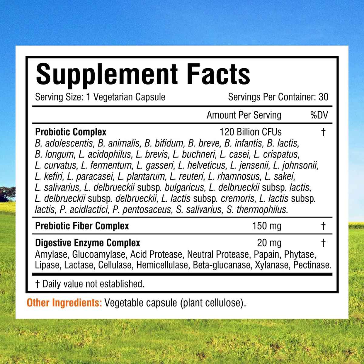 Innate Vitality Probióticos 3 en 1 120 Mil Millones CFU - 30 Cápsulas Vegetarianas - Tabla Nutricional - Haz Tu Pedido