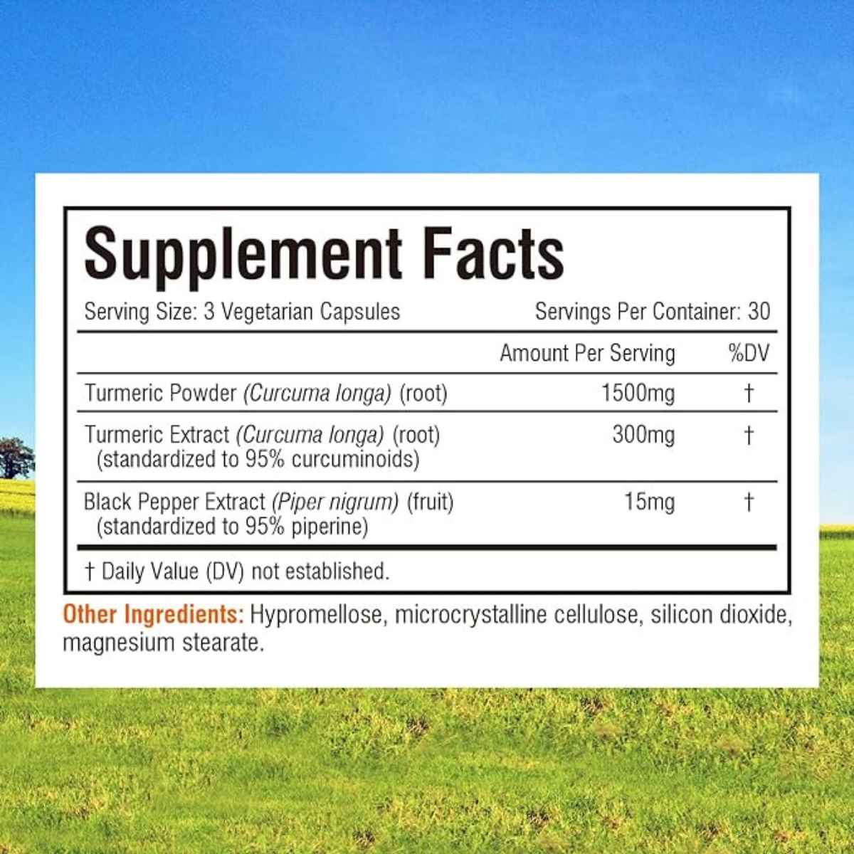 Innate Vitality Curcumina De Cúrcuma 1800 mg - 90 Cápsulas Vegetarianas