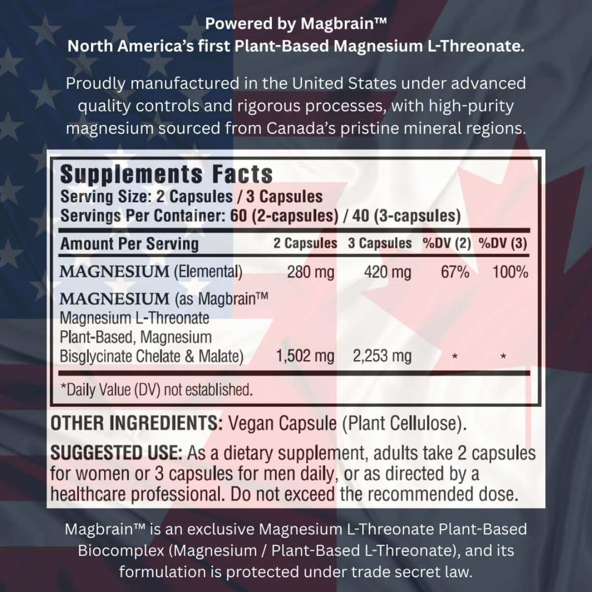 Información del suplemento de Kappa Nutrition Magbrain complejo de magnesio 3 en 1, 120 cápsulas.