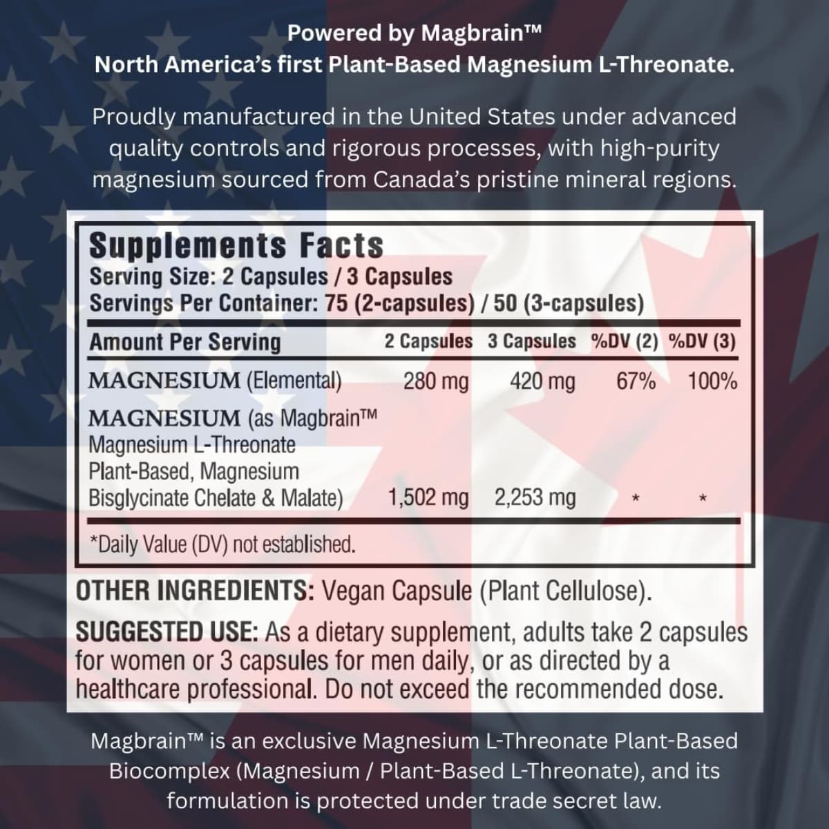 Información del suplemento de Kappa Nutrition Magbrain complejo de magnesio 3 en 1, 150 cápsulas.