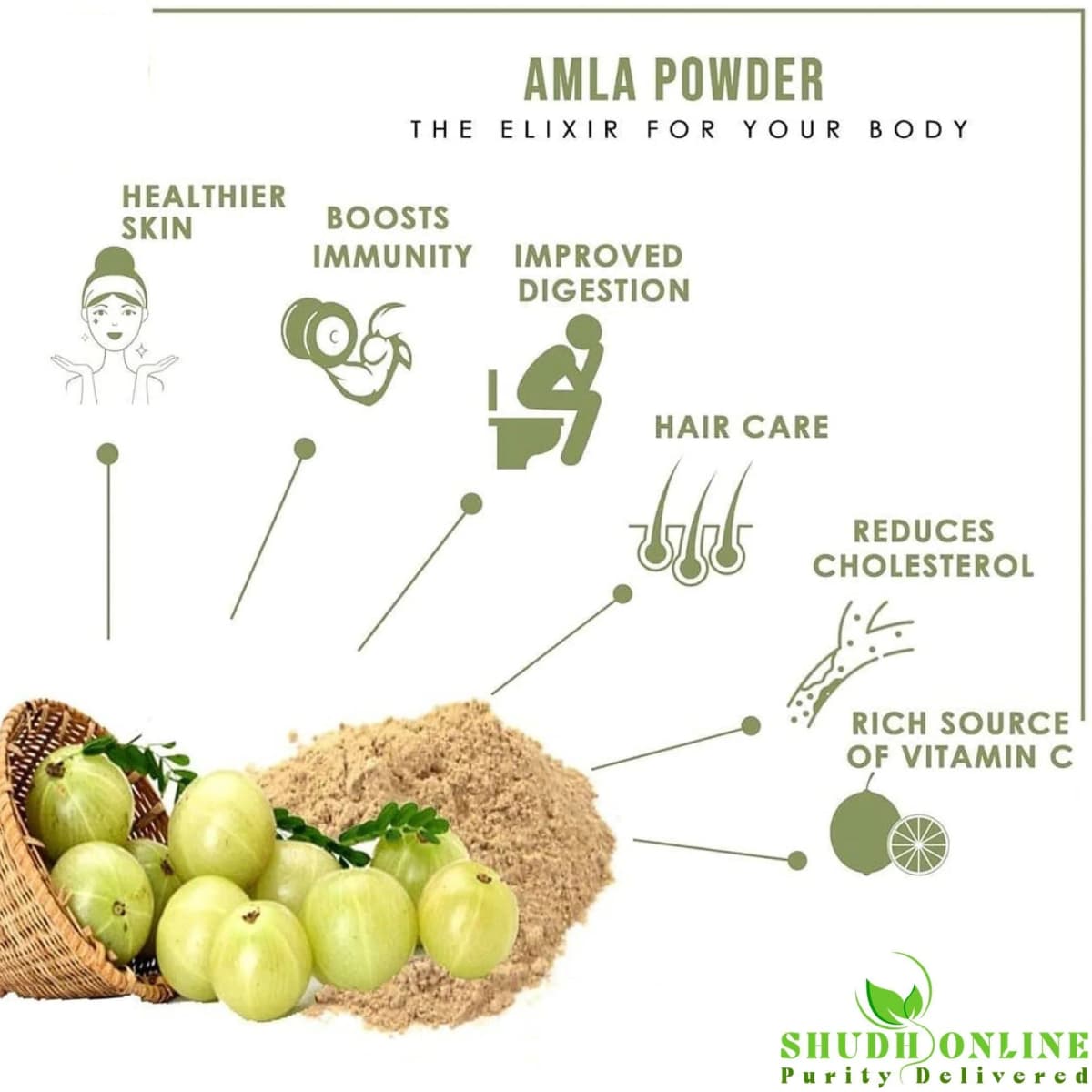Infografía con los beneficios del suplemento Shudh Online Amla en Polvo 3.5 oz Polvo
