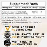 Extracto de Hongo Melena de Leon - 500 mg - Haz Tu Pedido