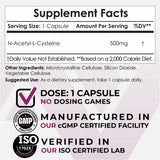 N-Acetil L-Cisteína 500 mg - Haz Tu Pedido