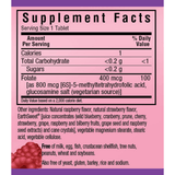 Bluebonnet EarthSweet Chewables CellularActive Methylfolate - 90 Tabletas Masticable - Haz Tu Pedido