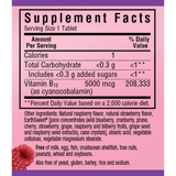 Bluebonnet EarthSweet Chewables Vitamin B12 - 5000 mcg - Chewable Tablets - Haz Tu Pedido