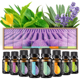 O'linear Pure Essential Oil Set x 8 - Haz Tu Pedido