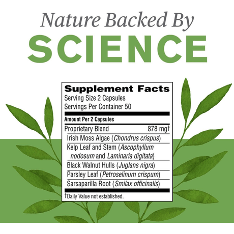 Nature's Sunshine Thyroid Activator - 100 Tabletas - Haz Tu Pedido