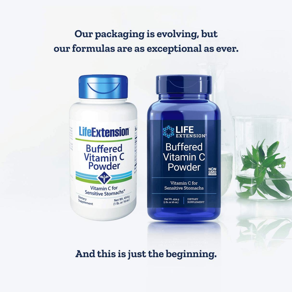 Life Extension Buffered Vitamin C Powder - 454 g - Haz Tu Pedido