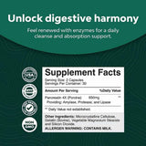 Enzimas Digestivas Pancreatina - Haz Tu Pedido
