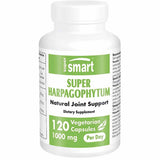 Extracto de Harpagofito 1000 mg - 120 Cápsulas Vegetariana - Haz Tu Pedido