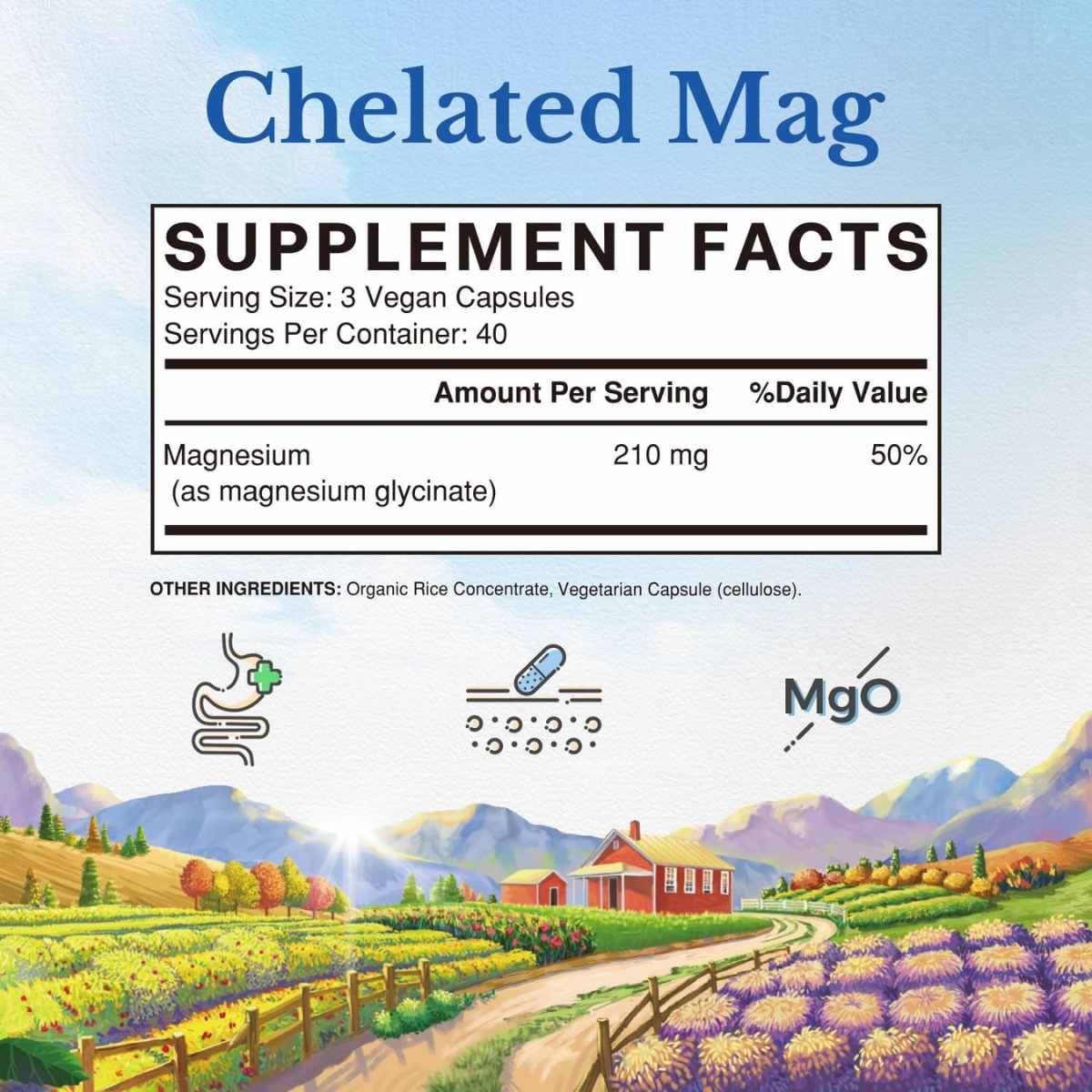Glicinato de Magnesio - 210 mg - 120 Cápsulas Veganas - Haz Tu Pedido