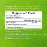 Alfa GPC - 600 mg - 240 Cápsulas - Haz Tu Pedido