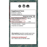 Real Mushrooms Turkey Tail 1000 mg - Haz Tu Pedido