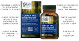Gaia Herbs Turkey Tail Mushroom - 40 Cápsulas Veganas - Haz Tu Pedido