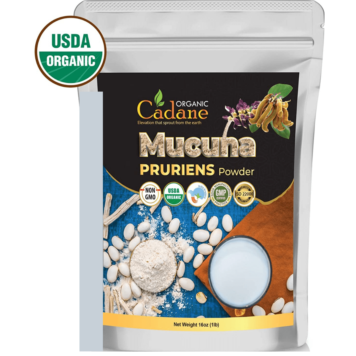 Organic Cadane Mucuna Pruriens - 454 g - Haz Tu Pedido