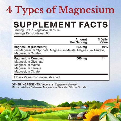 Vitalitown - Complejo de Magnesio (500 mg)