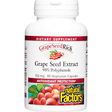 Natural Factors Grape Seed Extract - Haz Tu Pedido