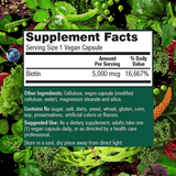 PlantFusion Vegan Biotin 5000 mcg - 120 Cápsulas Veganas - Haz Tu Pedido
