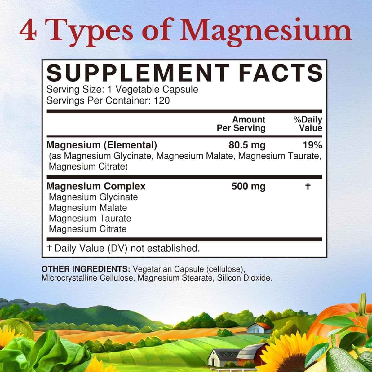 Vitalitown - Complejo de Magnesio (500 mg)