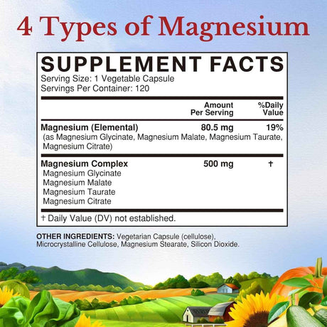 Vitalitown - Complejo de Magnesio (500 mg)