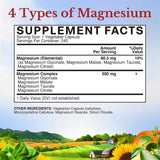 Vitalitown - Complejo de Magnesio (500 mg)