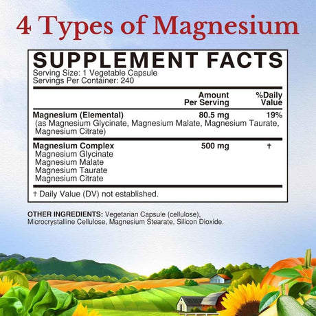 Vitalitown - Complejo de Magnesio (500 mg)