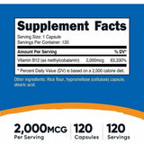 Vitamina B12 - Haz Tu Pedido