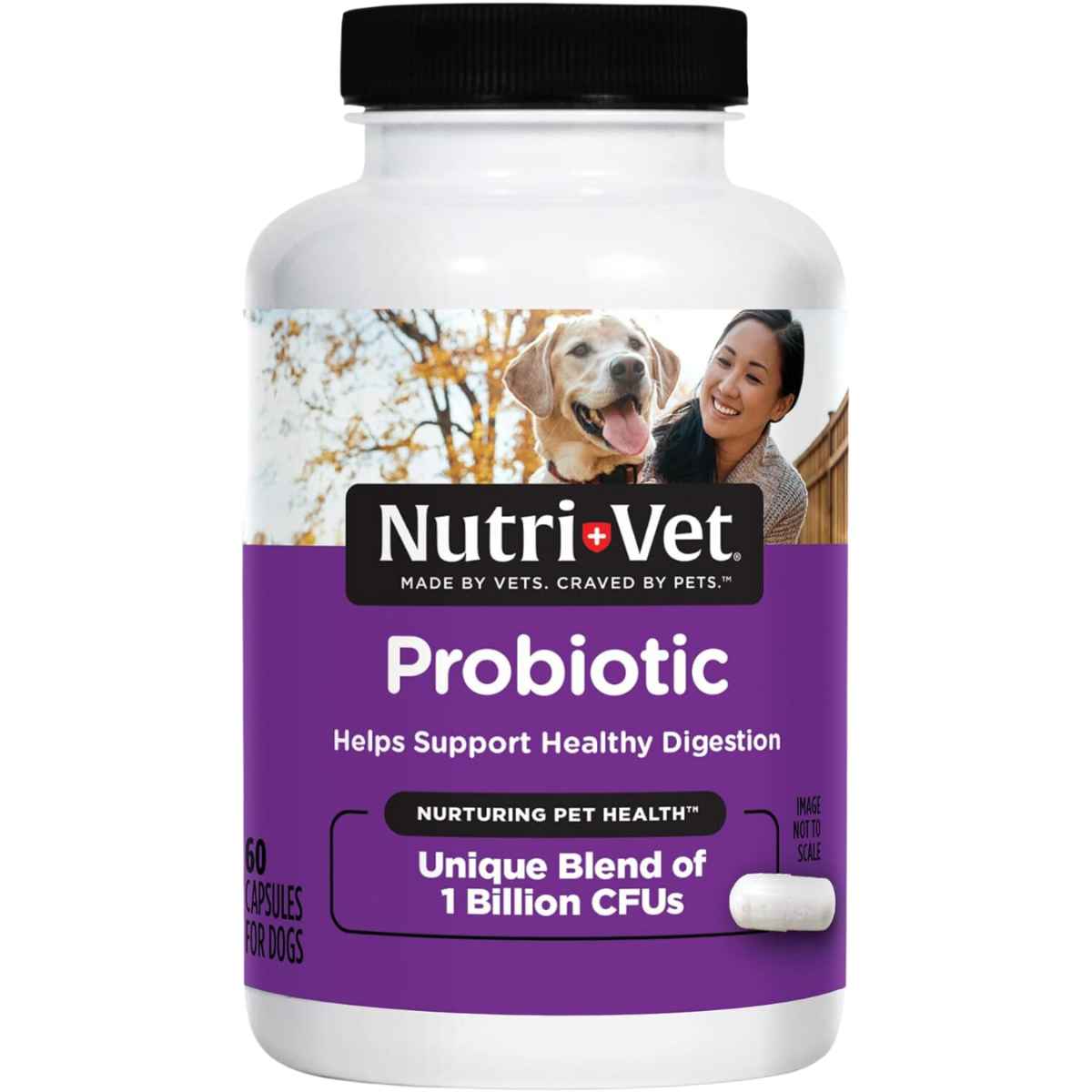 Nutri Vet Probiotico para Perros 1 Mil Millones CFU - 60 Cápsulas - Haz Tu Pedido