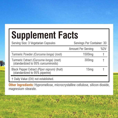 Innate Vitality Curcumina De Cúrcuma 1800 mg - 90 Cápsulas Vegetarianas