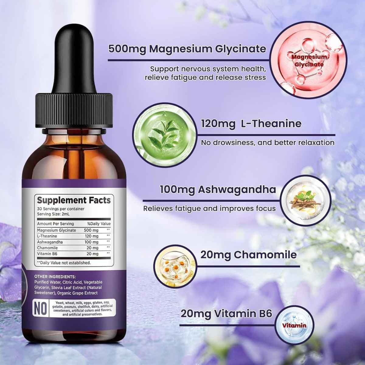 Etiqueta Supplement Facts de dilib glicinato de magnesio líquido sabor uva