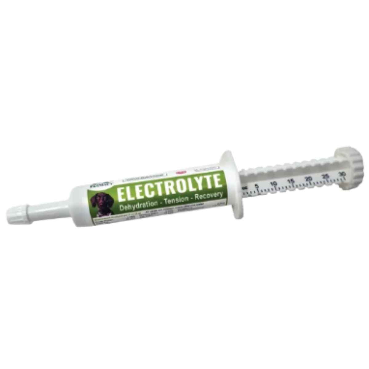 Dogzymes Canine Electrolyte Paste de 30 cc para perros