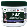 Dogzymes Kelp orgánico en polvo para perros, envase de 340 g (12 oz)