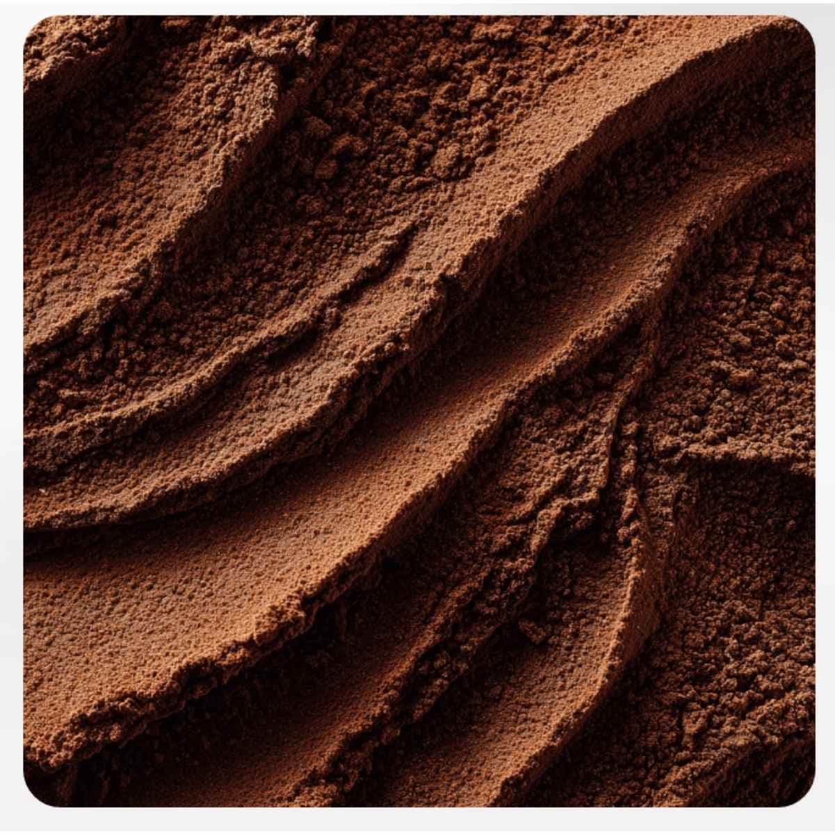 Textura en polvo de LifeCell Myco Fuel