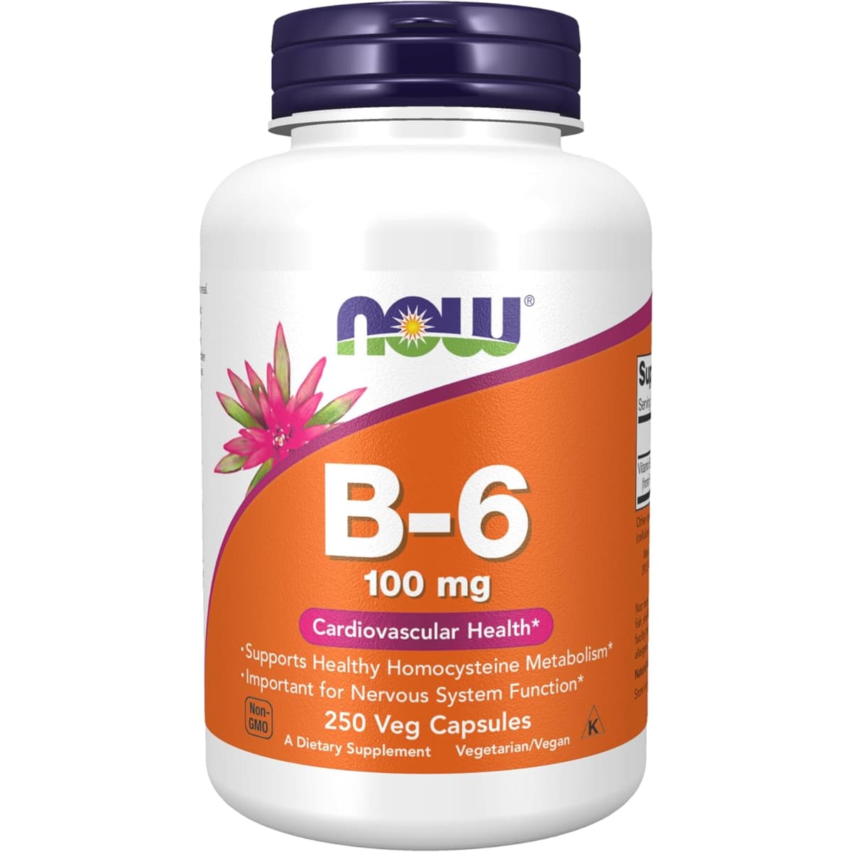 Frasco de suplemento NOW Foods Vitamina B-6 100 mg 250 cápsulas
