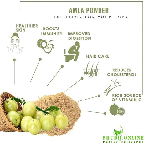 Infografía con los beneficios del suplemento Shudh Online Amla en Polvo 3.5 oz Polvo