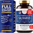 Frasco de suplemento Windsor Lactobacillus Salivarius 24 B CFU 60 cápsulas
